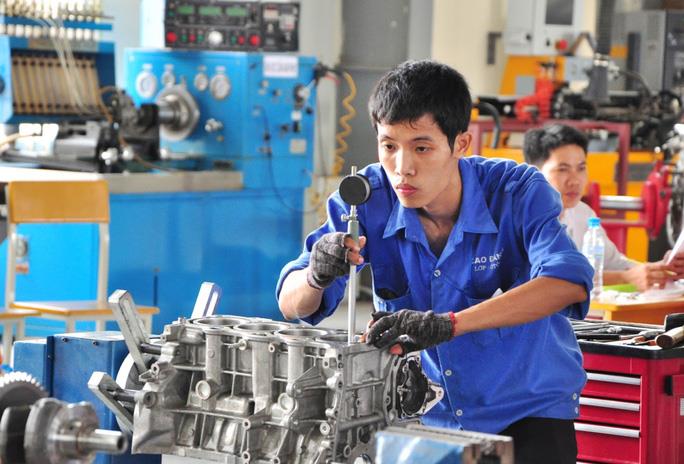 2023年，許多國家和地區計劃吸引越南勞工