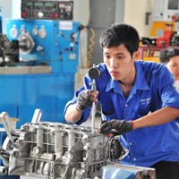 2023年，許多國家和地區計劃吸引越南勞工